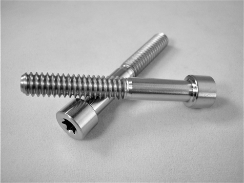 1/4"-20 x 1-3/4"  Torx Parallel Socket Head Screw